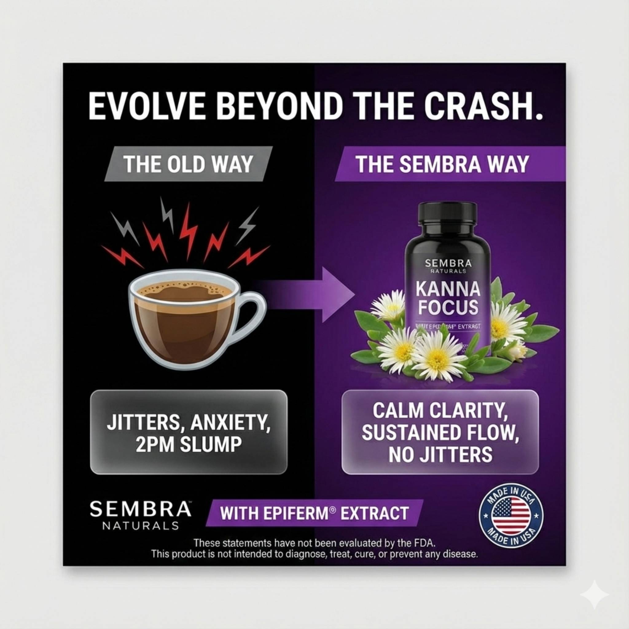 Coffee vs KANNAFOCUS comparison